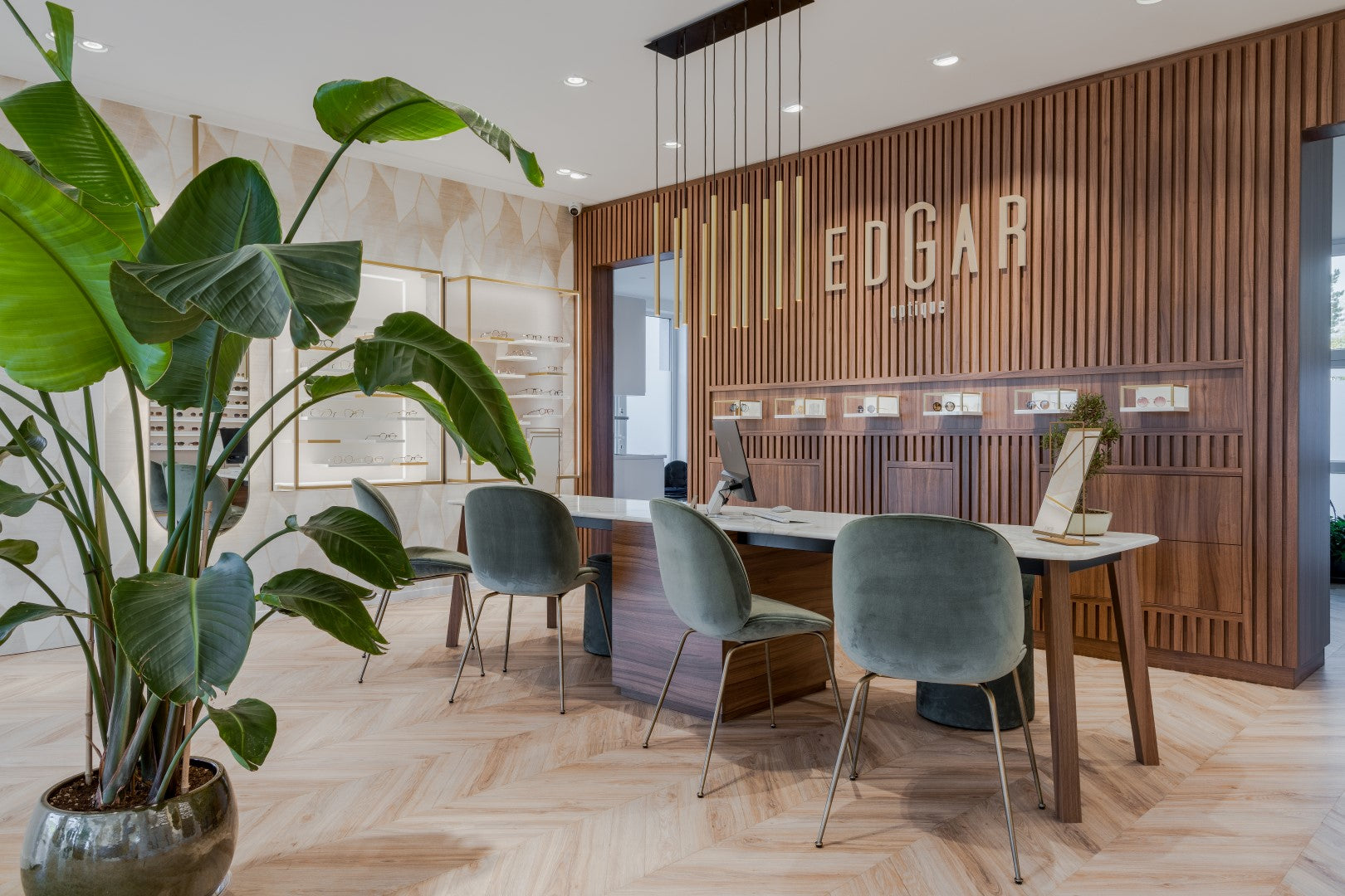 Edgar Optique in Waterloo (BE)